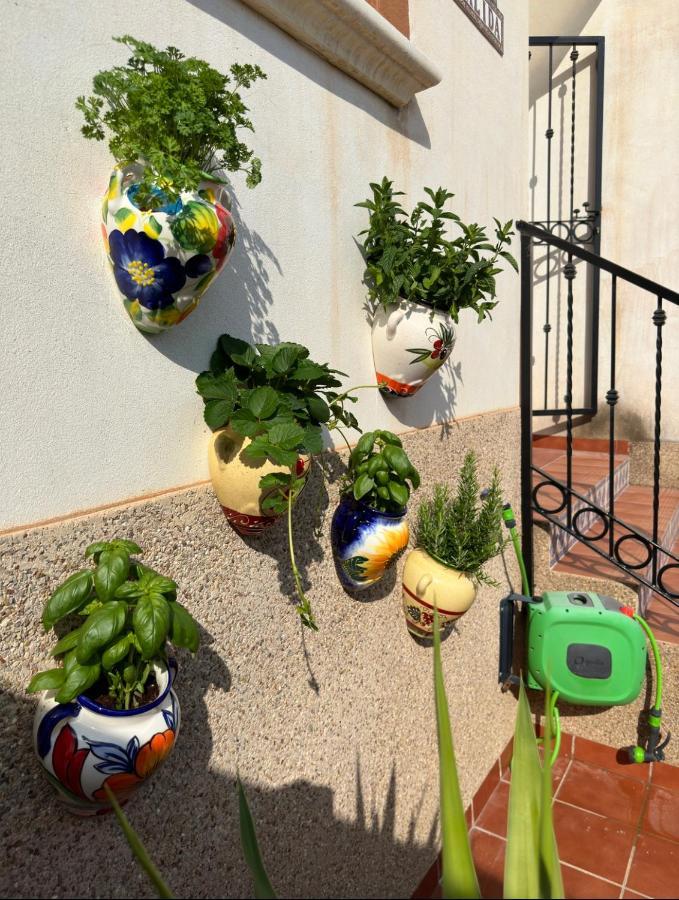021 Casa Calida - Orihuela Costa Apartment Punta Prima  Luaran gambar